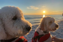 Lifeguards-at-Sunset