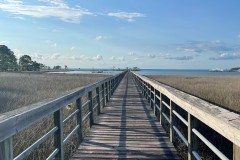 walkway-by-DIane-Parker