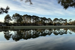 FL-Pine-Reflection-Laurel-Grove-Raven-18