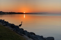 Tranquility-on-the-bay