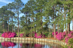 Baytowne-Course-Reflection