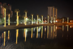 Christmas-Lights-on-Sand-Blvd-EM
