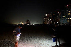 Crabbing-EM