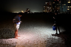 Crabbing