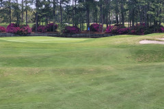 Masters-at-Sandestin-Hole-16-Nancy-Sack-Deerwood