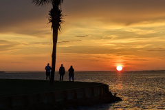 Sunset-family_Frank-Roberts