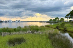 Swamp