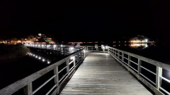 Picture the SOA 2026