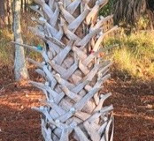 Golf-Ball-Tree-Sue-Sause-EM