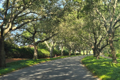 The-oaks-5.21.26