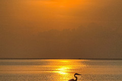 sunset-gbh_Jessica-Perry-7.21.26